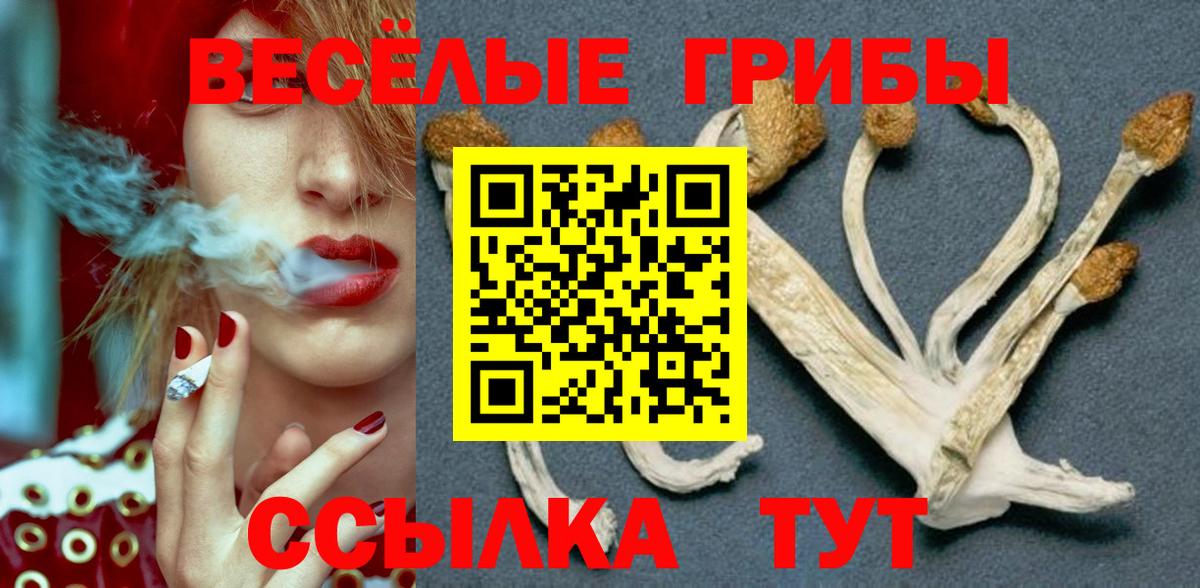 продажа наркотиков  Галлюциногенные грибы Magic Shrooms  Вход с VPN  Керчь 